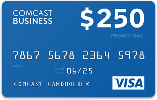 $250 Visa card